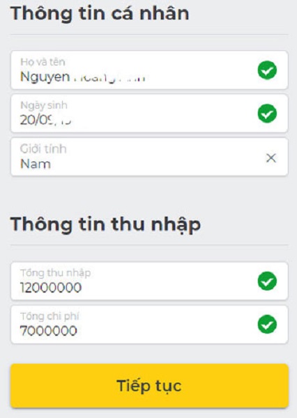 Bước 4: Điền Thông Tin Nghề Nghiệp