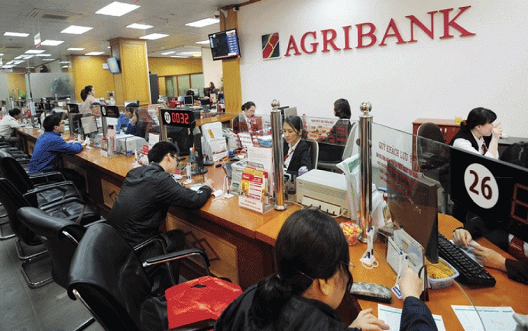 Điều kiện, thủ tục vay tiền tín chấp online dễ dàng tại Agribank