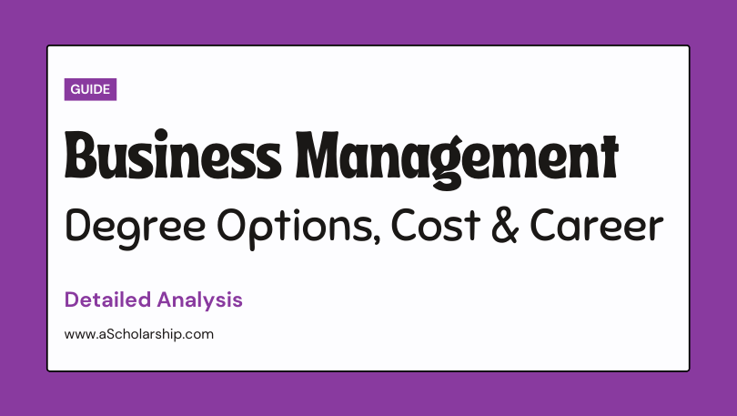 Masters in Management Degree-3
